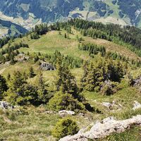 12.7 km Wiese mit Wanderweg nach Großarl