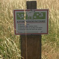 Bitte eigene Hunde unbedingt anleinen und auf die Herdenschutzhunde achtgeben
