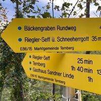 Kruckenbrettl - Trail