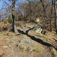 Abstieg am Vogelbergsteig