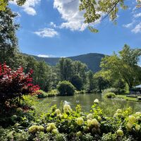 Musikpavillon TalVITAL