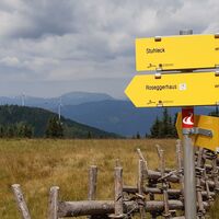 Schwarzriegelmoos Hochmoor (1605m)