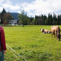 Wanderung am Lippenhof Leutasch