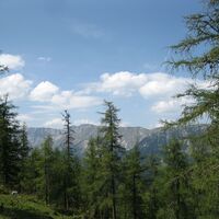 Göriacher Alm und Hochanger