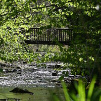 Elpebach in Ostwig
