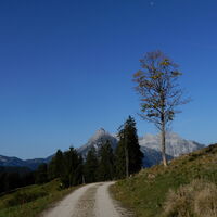 Hirschbichl - Lofer