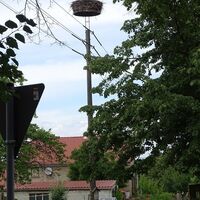 Storchennest in Quoos