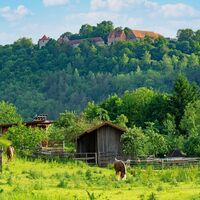 Igersheim Burg