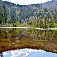 Etang du Devin