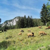 Blick Richtung Bergerwand