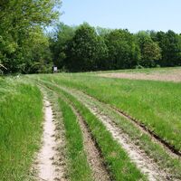 am Weg nach Stranzendorf
