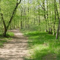 Wanderweg Erlesene Natur