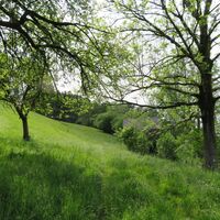 Amstette - Euratsfeld - St. Leonhard am Wald