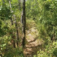 Wanderung