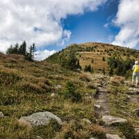 Aufstieg zum Rappoldkogel