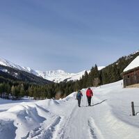 Wir wandern den Bretsteingraben hinein