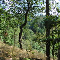 Dobersberg - Karlstein - Raabs a. d. Thaya