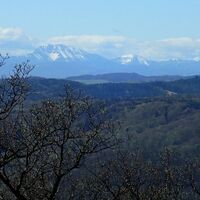 Starhembergwarte