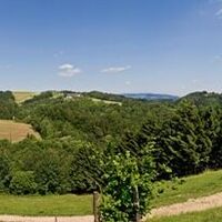 Panoramablick Fürstenberger