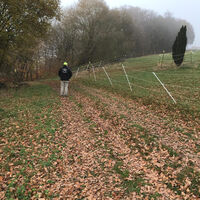 Der Weg Richtung Spraitbach vorbei an Pferdeweiden