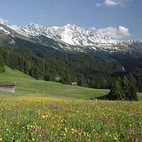 Mittelberg (1525 m ü.M), nördlichster Punkt