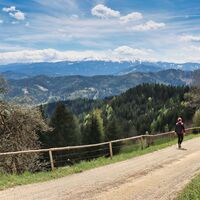 Aussichtsreicher Abstieg
