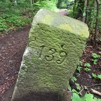 Grenzstein SWE HSG 139 Nr Am Krebsbach Thal