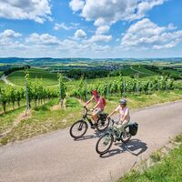 Radfahrer fahren durch Hohenloher Weinberge