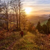 Unterwegs auf dem Kahler Asten-Steig
