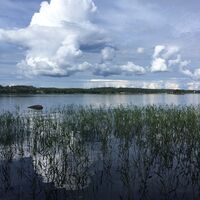 Vilkaharju Naturpfad