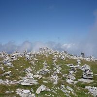 Ein Heer von Steinmanndli