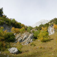 die kurze steilere Stelle bevor wir oberhalb nach links abzweigen