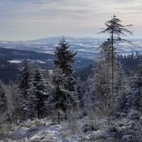 Aussicht zum Haugstein im Sauwald