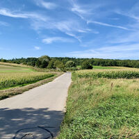 Groß-Schweinbarth, Hohlwegrunde