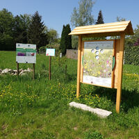 Tafel Wildblumen- und Wildkräuterwiese