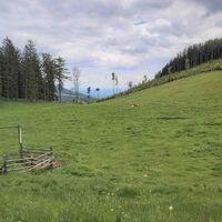 Lärchsattel_Naturpark Almenland_Oststeiermark