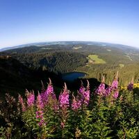 Mountainbiketour um den Feldberg