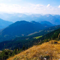 Halserspitze Blick zum Achensee