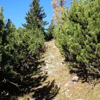 Aufstieg nahe bei der Schönleiten