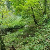 Fahrt entlang des Stitarsky potok