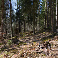 Fabelweg Mühlengrund