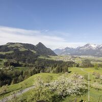 Sommer Pinzgerhof (1)