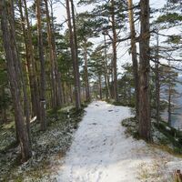 Breitenstein - Luckerte Wand - Prein a. d. Rax