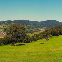 Blick zurück auf Pöggstall