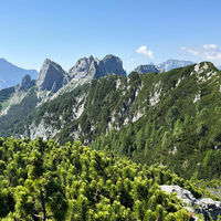 [ M.te Sciober grande ] Am Monte Sciober grande, 1.845m