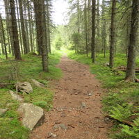 ein gemütlicher Tag führt aus dem Tal