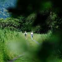 Spatzieren im Ruggeller Riet