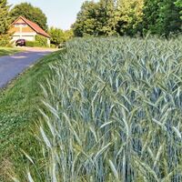Gemütliches Dahinwandern