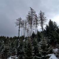 Geigerkogel