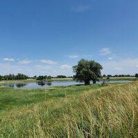 An der Elbe in der Altmark am Altmarkrundkurs